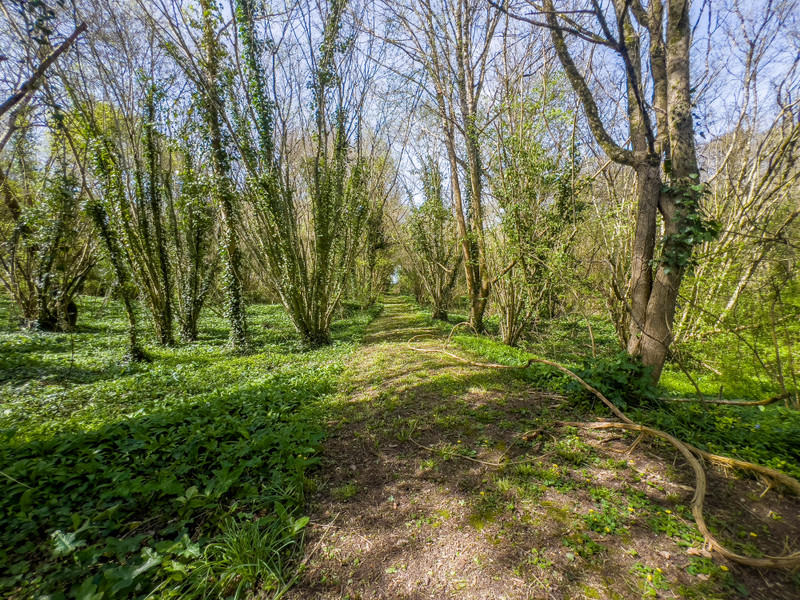 French property for sale in Angoulême, Charente - €397,500 - photo 12