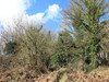 French property for sale in Maël-Pestivien, Côtes-d'Armor - €21,000 - thumbnail 9
