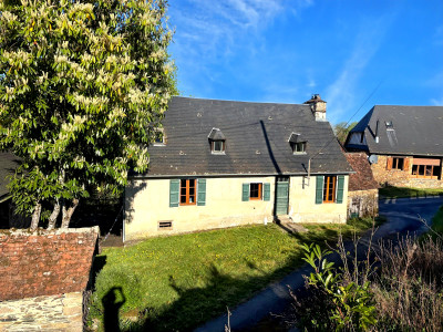 photo 0