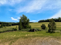 Propriété à vendre à Lacougotte-Cadoul, Tarn - 650 000 € - photo n°5