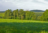 French property for sale in Boisseuilh, Dordogne - €260,000 - thumbnail 14
