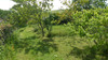 French property for sale in Édon, Charente - €82,500 - thumbnail 9