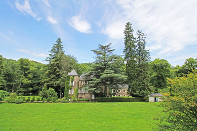 chateau for sale in Tarn
