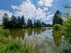 French property for sale in Charchigné, Mayenne - €549,520 - thumbnail 9