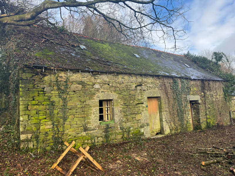 French property for sale in Plélauff, Côtes-d'Armor - €50,000 - photo 5