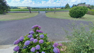 French property for sale in Le Teilleul, Manche - €236,559 - photo 2