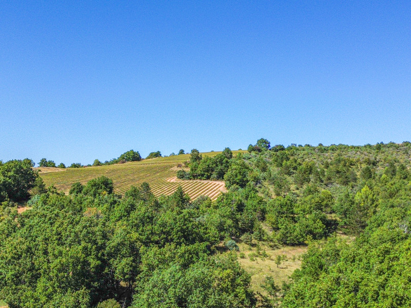 French property for sale in Saint-Julien-d'Asse, Alpes-de-Haute-Provence - €530,000 - photo 14