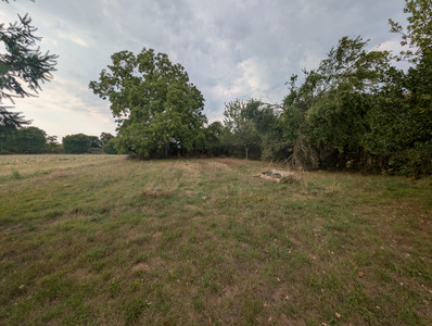 French property for sale in Anché, Vienne - €72,000 - photo 14