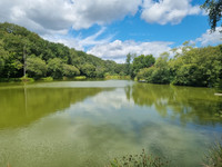 Lacs à vendre à Montsûrs, Mayenne - 335 000 € - photo 10