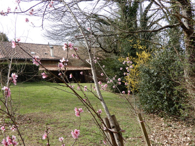 French property for sale in Les Salles-Lavauguyon, Haute-Vienne - €135,000 - photo 9