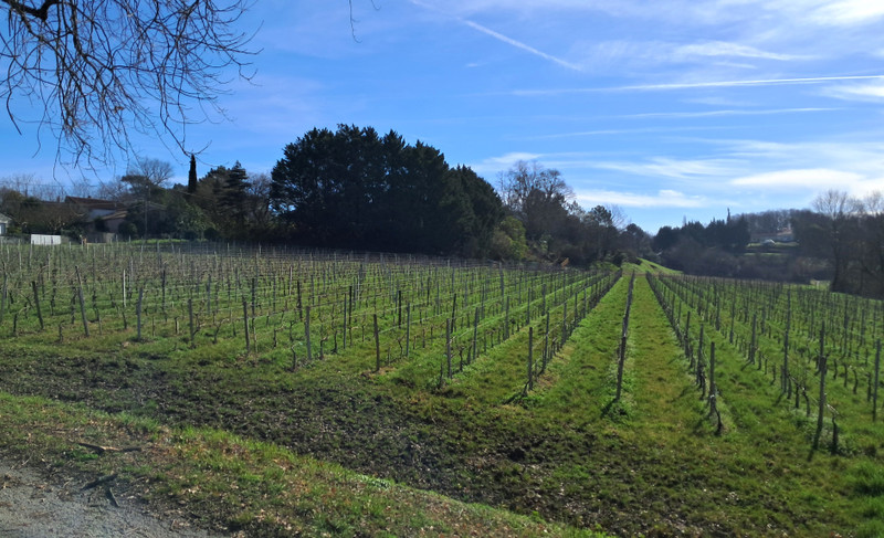 French property for sale in Gauriac, Gironde - €410,000 - photo 4