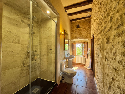 French property for sale in Pressigny, Deux-Sèvres - €670,250 - photo 5