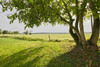 French property for sale in Savigny-sous-Faye, Vienne - €136,600 - thumbnail 9