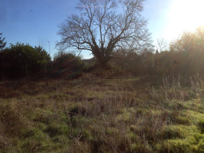 French property for sale in Gout-Rossignol, Dordogne - €16,500 - photo 2