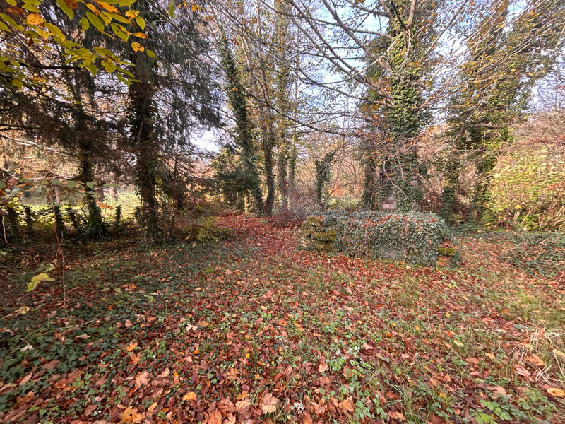 French property for sale in Lussac-les-Églises, Haute-Vienne - €51,600 - photo 14
