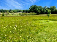 Propriété à vendre à Villebois-Lavalette, Charente - 595 000 € - photo n°3