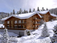 French ski chalets, properties in COMBLOUX, Combloux, Domaine Evasion Mont Blanc