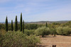 French property for sale in Barjac, Gard - €650,000 - thumbnail 9