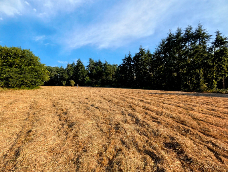 French property for sale in Locarn, Côtes-d'Armor - €162,000 - photo 13