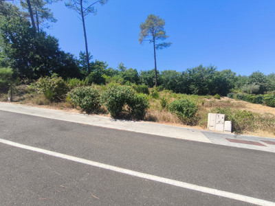 French property for sale in Biscarrosse, Landes - €420,000 - photo 3