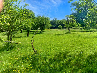 French property for sale in Sarroux - Saint Julien, Corrèze - €172,800 - photo 9