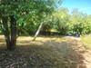 French property for sale in Quinsac, Dordogne - €285,000 - thumbnail 14