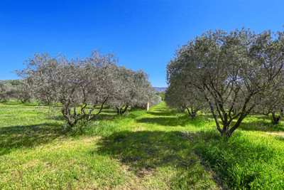 French property for sale in Roussillon, Vaucluse - €975,000 - photo 5