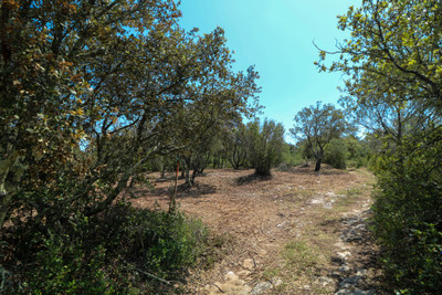 French property for sale in Sanilhac-Sagriès, Gard - €49,000 - photo 7