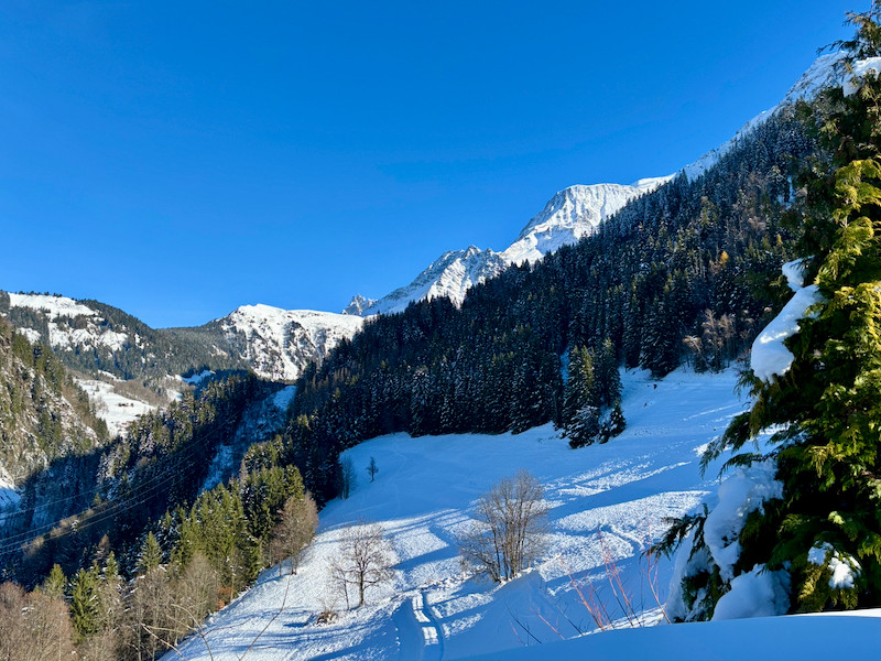 chalet à vendre à Alpes françaises (Auvergne-Rhône-Alpes)