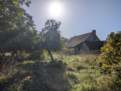 French property for sale in Nogent-le-Bernard, Sarthe - €90,000 - photo 10