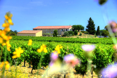 Close to Montpellier, renowned vineyard of 18 hectares around the property in full operation. Beautiful winery and great potential to develop the business. A very interesting deal.