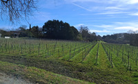 Propriété à vendre à Gauriac, Gironde - 410 000 € - photo n°7