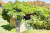 French property for sale in Navarrenx, Pyrénées-Atlantiques - €375,000 - thumbnail 14