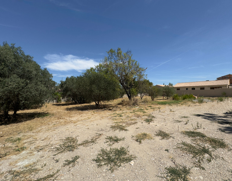 Terrain à vendre à Saint-Rémy-de-Provence, Bouches-du-Rhône - 455.000 € - photo 1