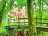 French property for sale in Navarrenx, Pyrénées-Atlantiques - €470,000 - thumbnail 9