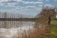 Lacs à vendre à Connerré, Sarthe - 185 760 € - photo 2
