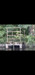 French property for sale in Le Grand-Bourg, Creuse - €141,700 - thumbnail 12