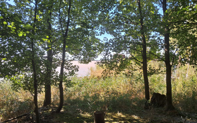 French property for sale in Gauriac, Gironde - €199,900 - photo 3