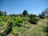 French property for sale in Saussignac, Dordogne - €498,000 - thumbnail 9