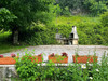 French property for sale in Eymet, Dordogne - €335,000 - thumbnail 14