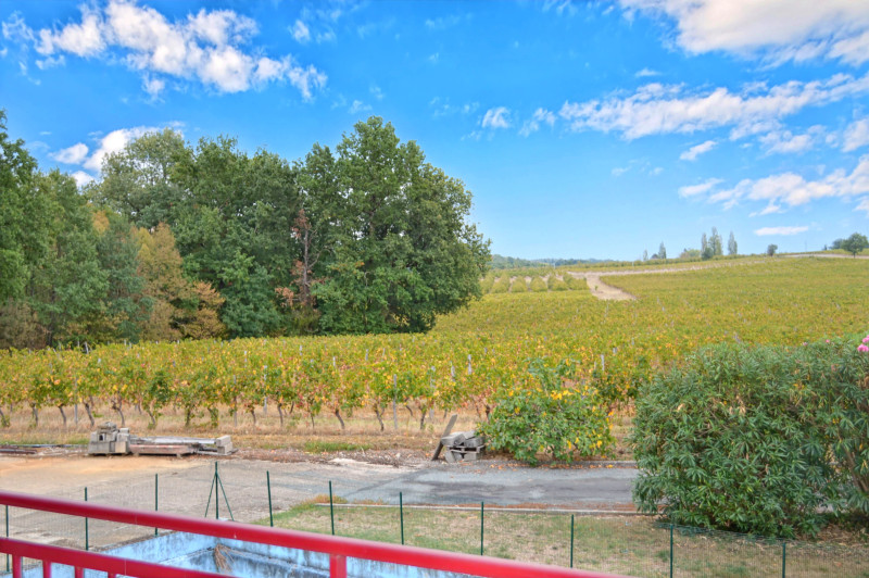 French property for sale in Saint-Sernin, Lot-et-Garonne - €2,650,000 - photo 9