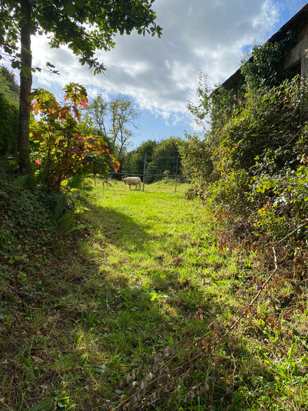 French property for sale in Monthault, Ille-et-Vilaine - €25,000 - photo 4