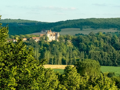 French property for sale in Saint-Vincent-de-Cosse, Dordogne - €230,000 - photo 10