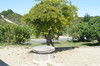 French property for sale in Saint-Léon, Lot-et-Garonne - €466,400 - thumbnail 9