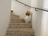 French property for sale in Castelreng, Aude - €110,000 - thumbnail 9