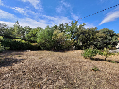 land for sale in Pyrénées-Orientales