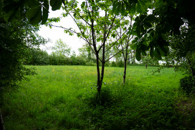 French property for sale in Aubéguimont, Seine-Maritime - €440,000 - photo 14