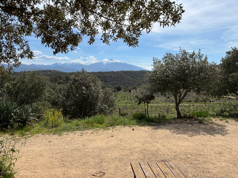 French property for sale in Montalba-le-Château, Pyrénées-Orientales - €330,000 - photo 14