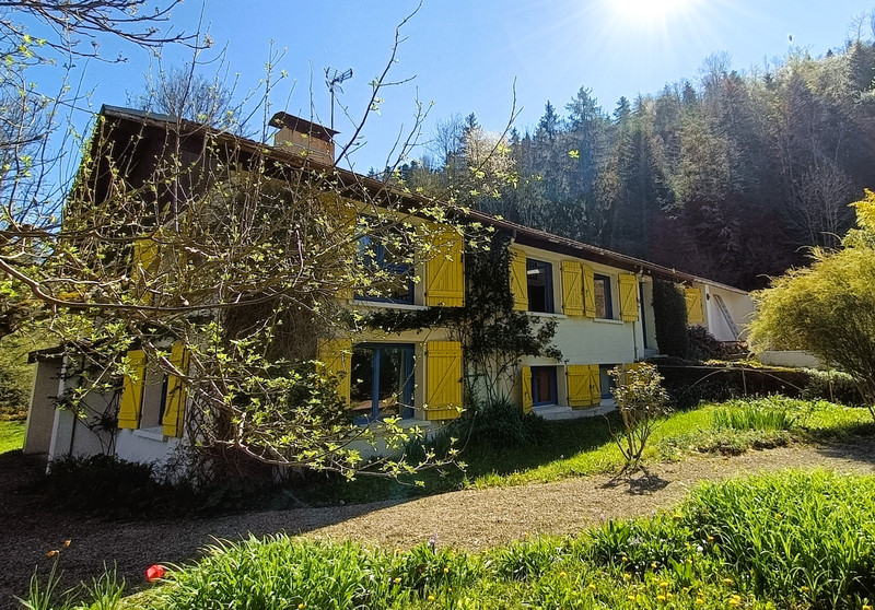 French property for sale in Fougax-et-Barrineuf, Ariège - €398,000 - photo 1