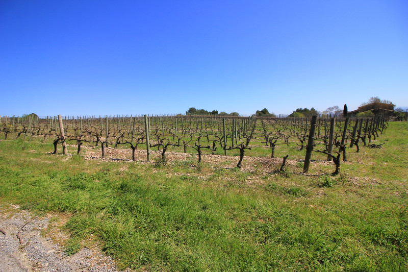 French property for sale in La Livinière, Hérault - €320,000 - photo 12